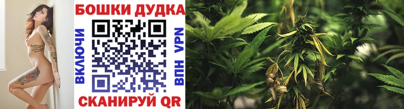 Сколько стоит Снежногорск A PVP АМФЕТАМИН КОКАИН Гашиш Бошки Шишки Мефедрон