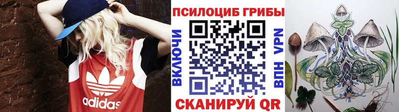 Псилоцибиновые грибы Psilocybe  Снежногорск 